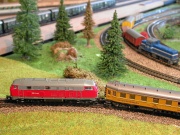 040 Der neue Bahndamm